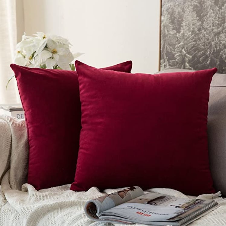 MIULEE Velvet Decorative Throw Pillow Covers (2-Pack)