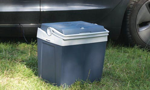 cooler sitting on grass next to car