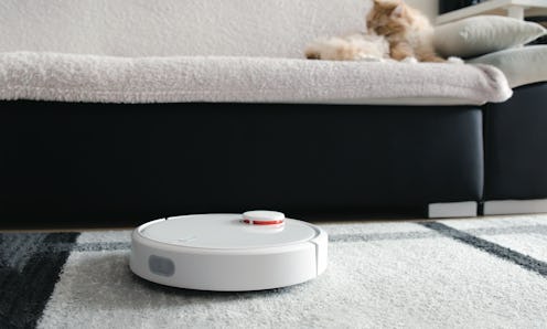 This photo features a white robot vacuum (similar to the best robot vacuums for high-pile carpet) on...
