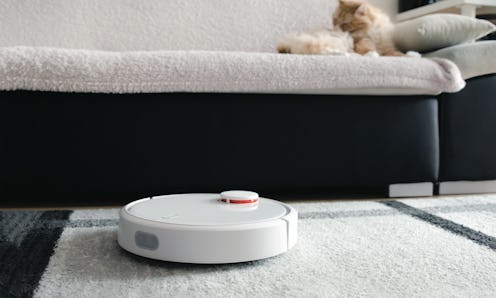 This photo features a white robot vacuum (similar to the best robot vacuums for high-pile carpet) on...