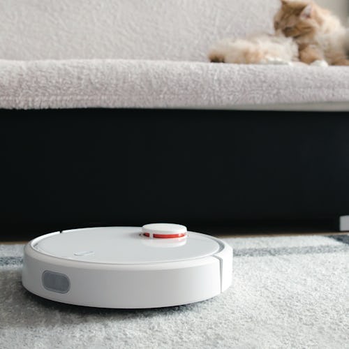 This photo features a white robot vacuum (similar to the best robot vacuums for high-pile carpet) on…