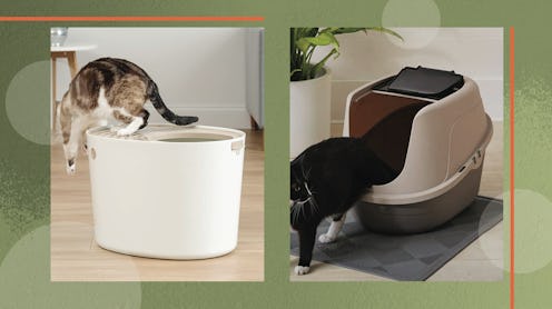 The best litter boxes for messy cats feature covered or high-walled designs. In this image, there ar...