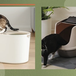 The best litter boxes for messy cats feature covered or high-walled designs. In this image, there ar...