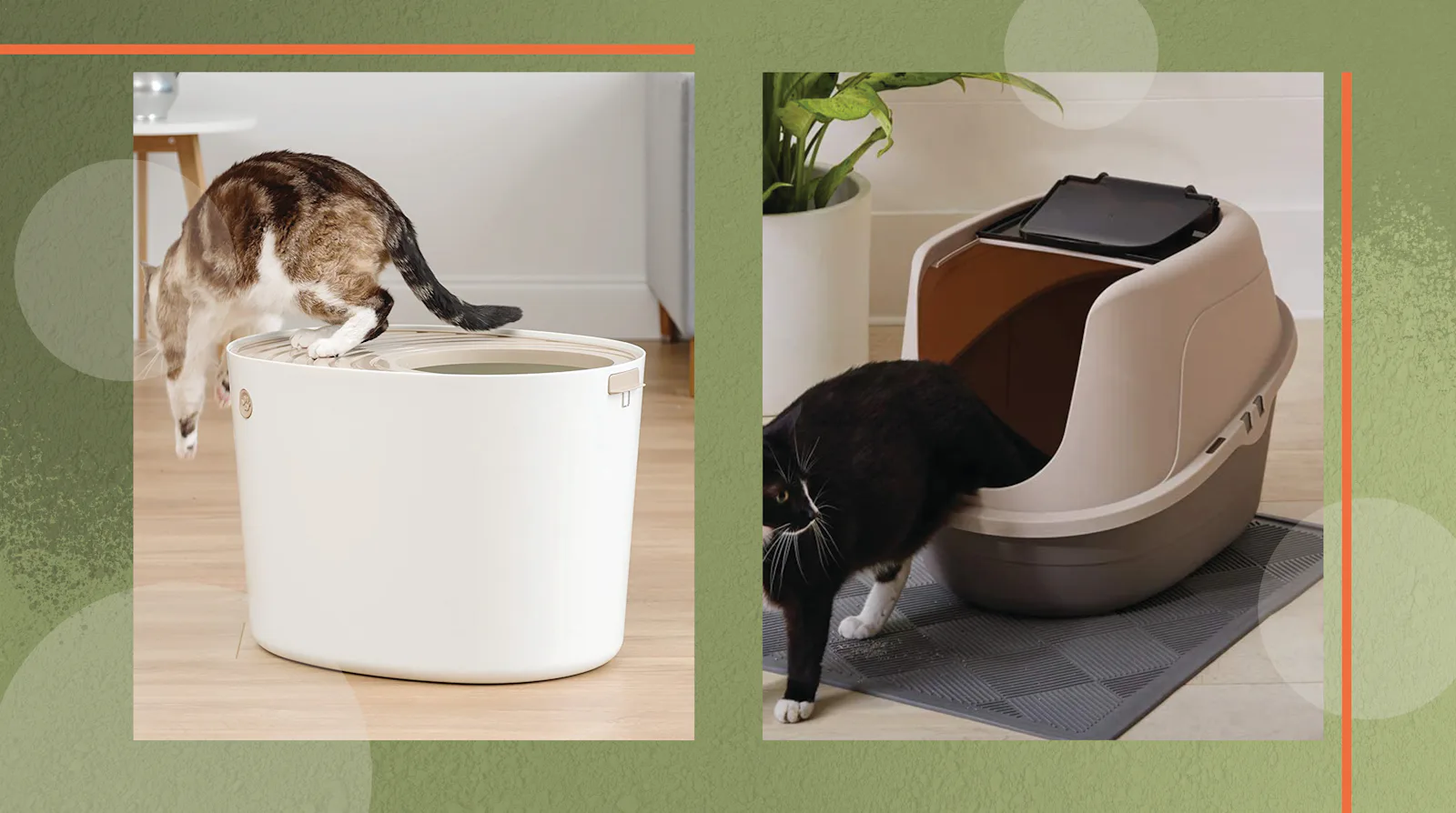 Filthy Cat Box The 9 Best Litter Boxes For Messy Cats