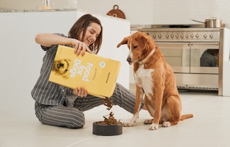 Find Your Dog's Ideal Meal Plan