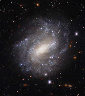 ¿Se desgarrará el universo?  Esta galaxia espiral podría tener una pista