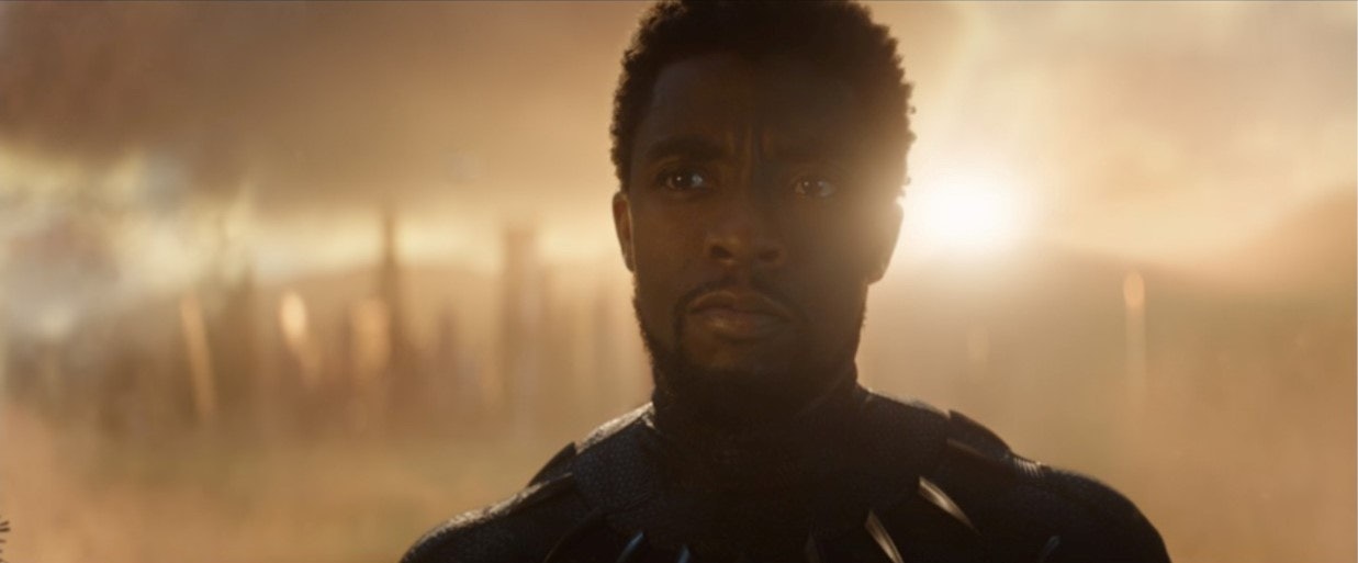 black panther shows up endgame