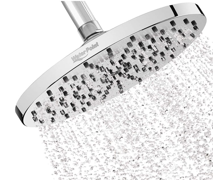 WaterPoint Rainfall Shower Head