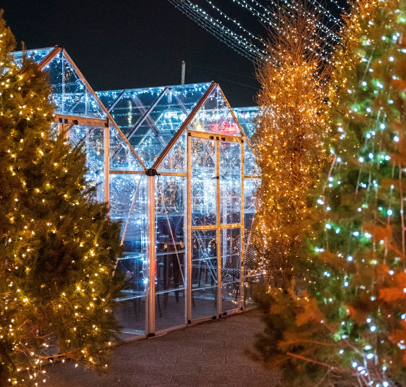 Visit 'The Santa Clauses' Winter Wonderland Immersive North Pole Experience In NYC For The 2022 Holi...