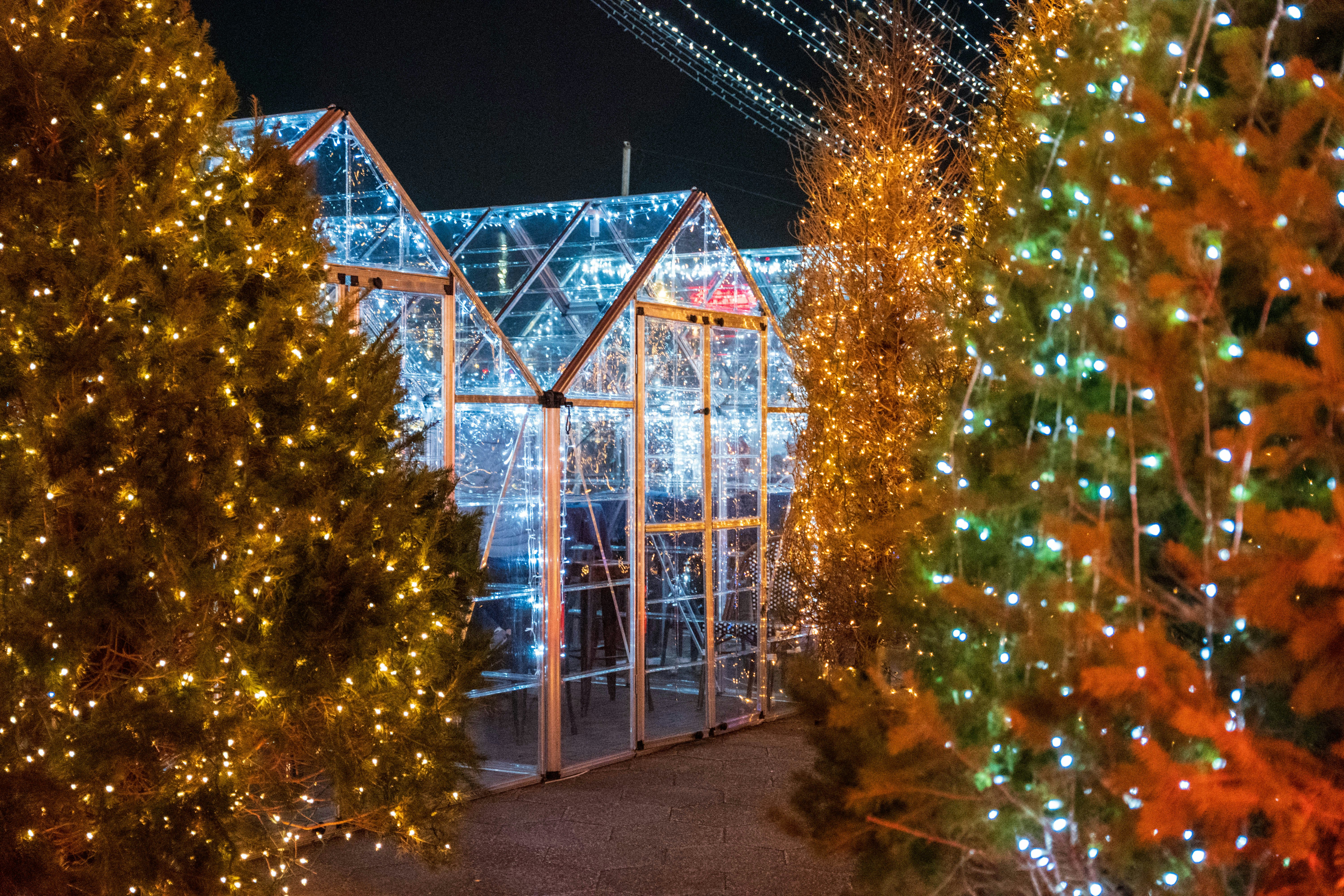 'The Santa Clauses’ Winter Wonderland In NYC Is An Immersive Pop-Up