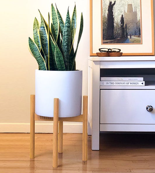 STNDRD. Bamboo Indoor Plant Stand