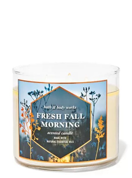 The Bath & Body Works fall 2022 candle sale include Fresh Fall Morning candle. 