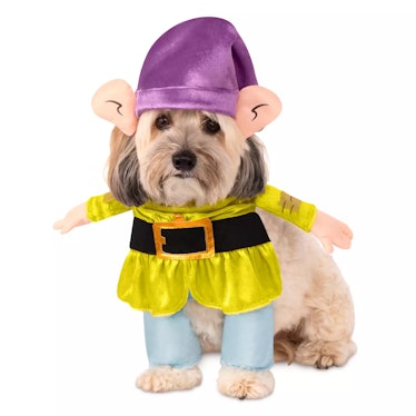 The 2022 Disney Halloween costumes for pets includes a Dopey costume. 