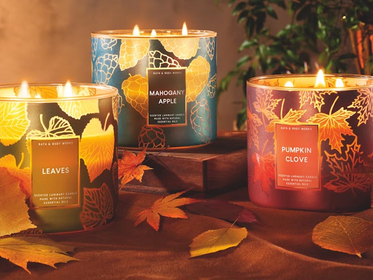The Bath & Body Works fall 2022 candle sale includes the fall candles. 