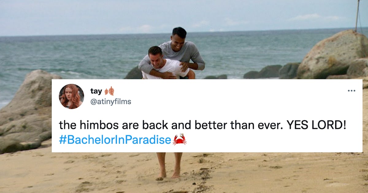 Memes About Aaron & James' 'BIP' Season 8 Return