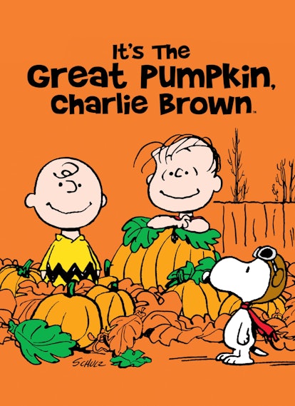 Charlie Brown and Snoopy is a best friend costume idea for Halloween 2022.