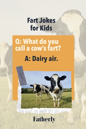 Fart Jokes: What do you call a cow's fart? 