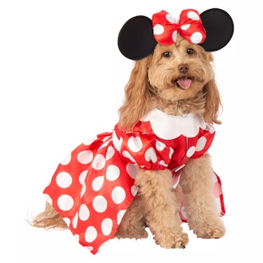 The 2022 Disney Halloween costumes for pets includes a Minnie Mouse costume for sale.