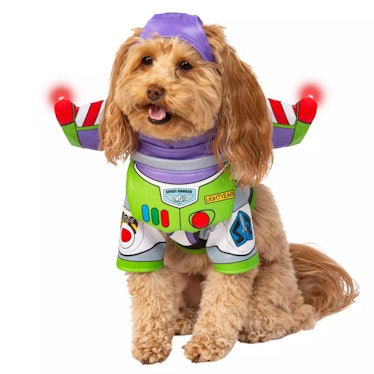 The 2022 Disney Halloween costumes for pets includes a Buzz Lightyear costume. 
