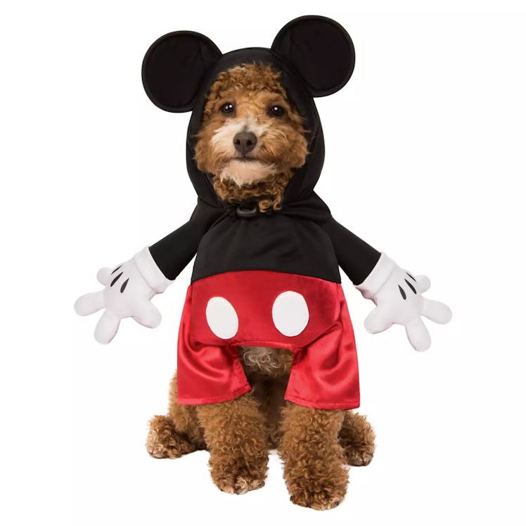 The 2022 Disney Halloween costumes for pets includes a Mickey Mouse costume. 