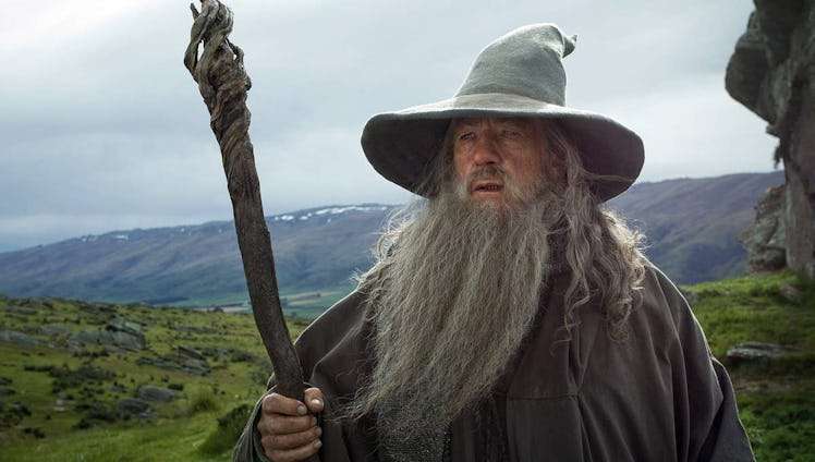 Gandalf from 'The Lord of The Rings'