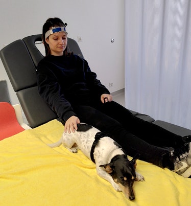 A participant pets a dog while a spectroscopy device monitors brain activity
