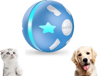 PetDroid Interactive Ball Toy