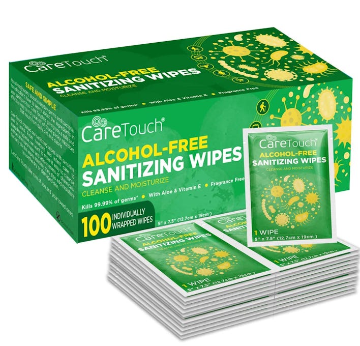 Care Touch Alcohol-Free Hand Sanitizer Wipes (100-Pack)
