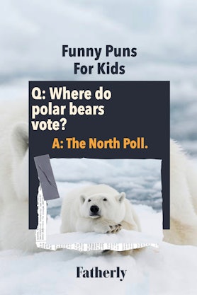 Funny Puns For Kids: Where do polar bears vote?