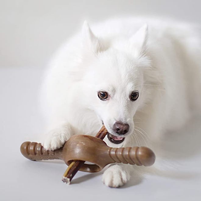 Benebone Pawplexer Interactive Treat Dispensing Chew Toy