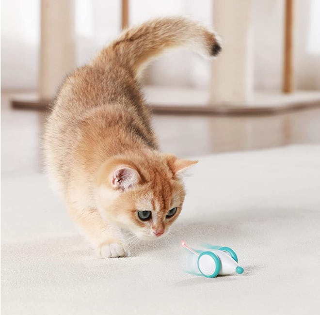 PETLIBRO Automatic Mice Toy