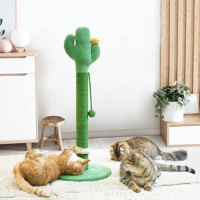 Cat Scratching Posts Cactus Cat Scratcher
