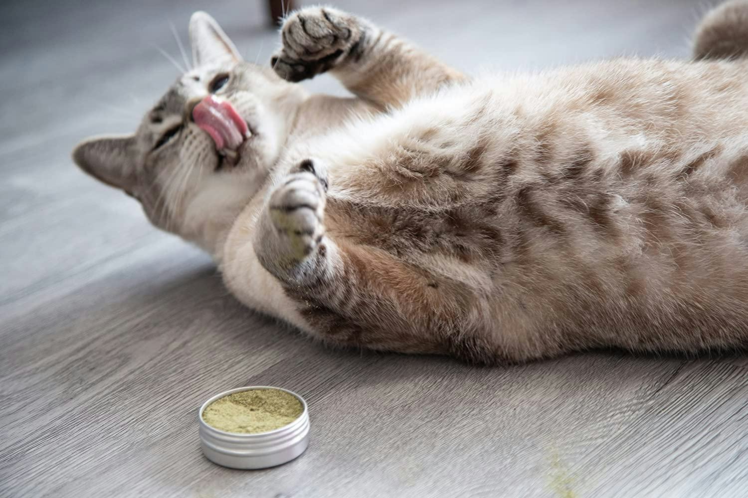 Meowy Janes Silver Vine All Natural Catnip Alternative