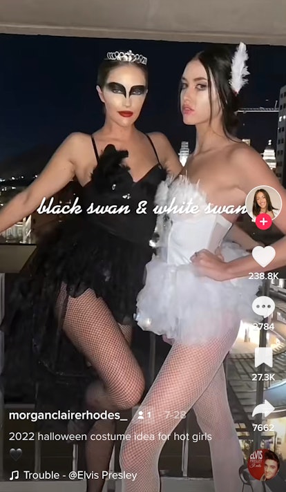 white swan costume diy