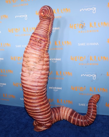Heidi Klum's Worm Halloween Costume 