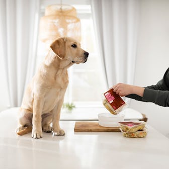 Nom Nom creates fresh, quality meals that are personalized for your dog.