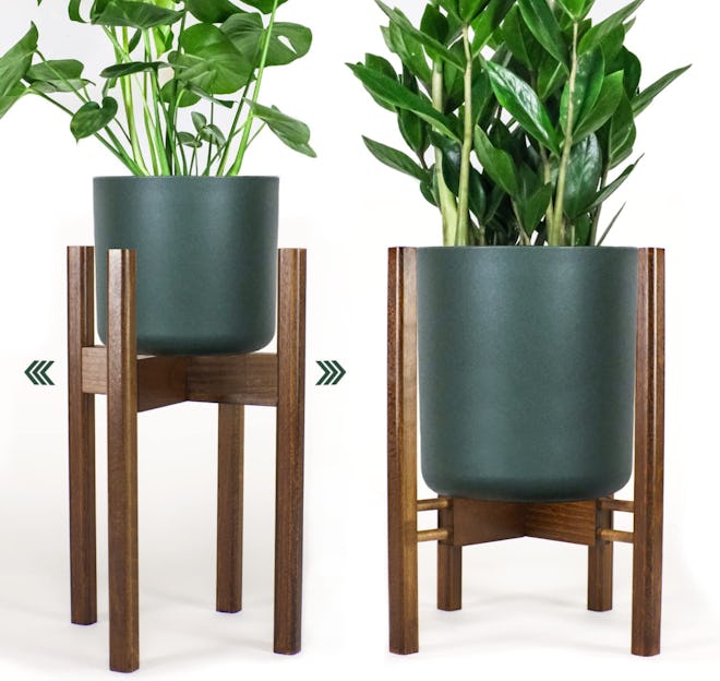 Bees & Buds Plant Stand