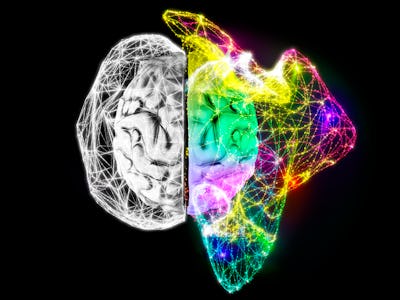 brain