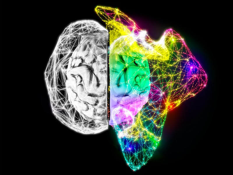 brain