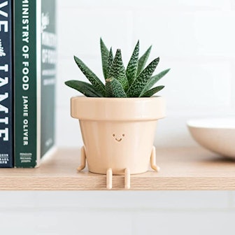 Original Earthlings Standing Indoor Plant Pot