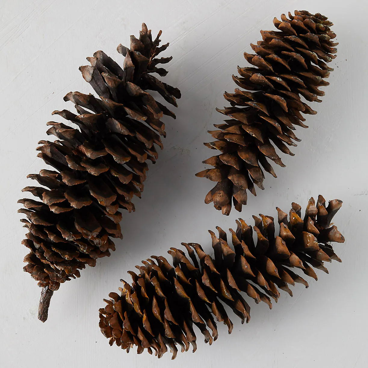 How To Create A Holiday Tablescape That's Pro-Level, In 6 Easy Steps