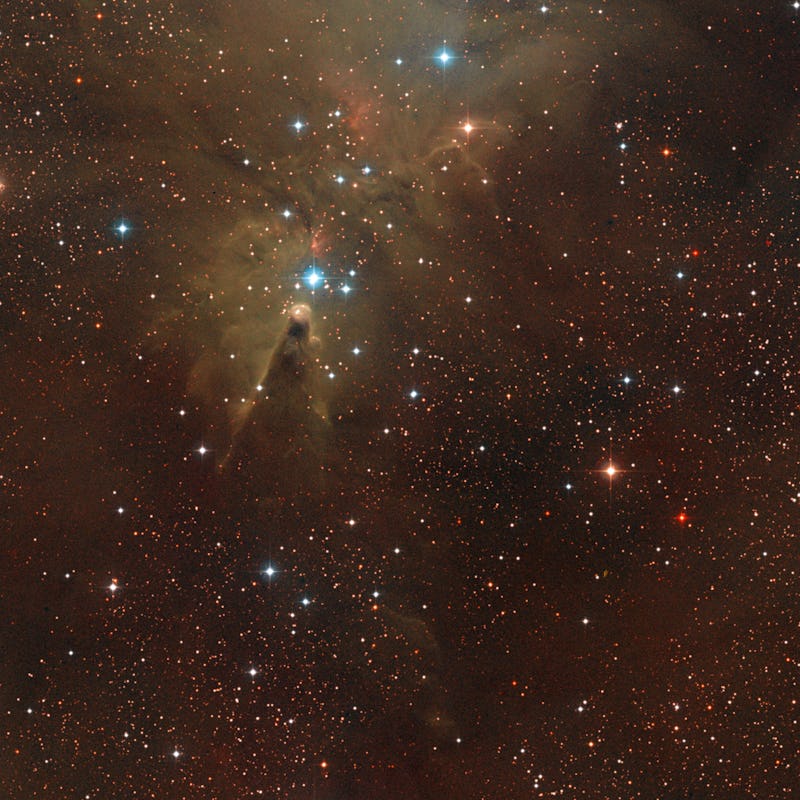 A starry part of the sky with the cone nebula peeking up in the center