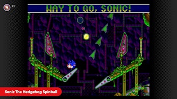sonic the hedgehog spinball nintendo switch online