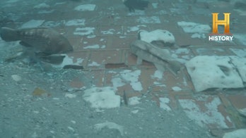 color photo of space shuttle tiles covered in sand underwater