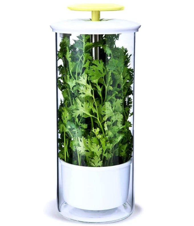 NOVART Herb Saver