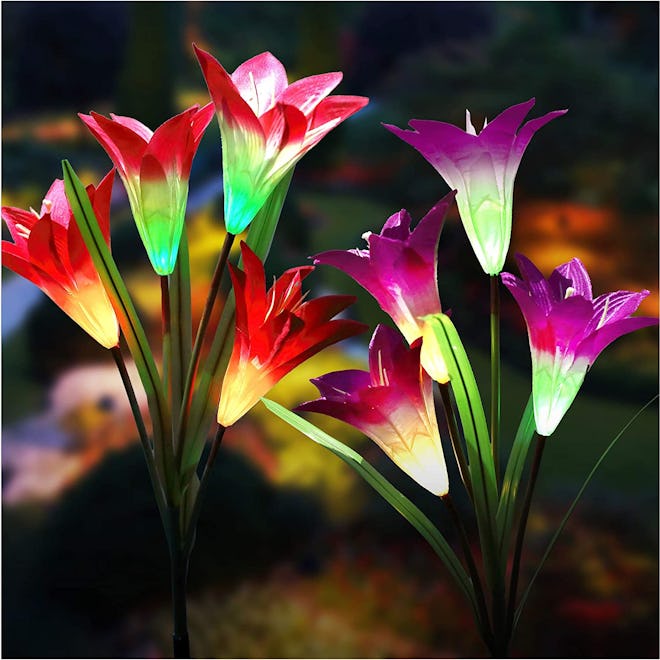 TONULAX Solar Tulip Lights (2-Pack)