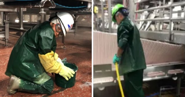 A sanitation contractor is under investigation after allegedly employing dozens of children in dange...