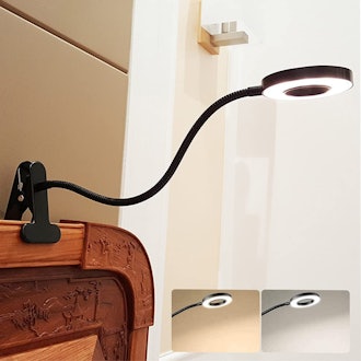 DINGLILIGHTING LED Reading Light Clip