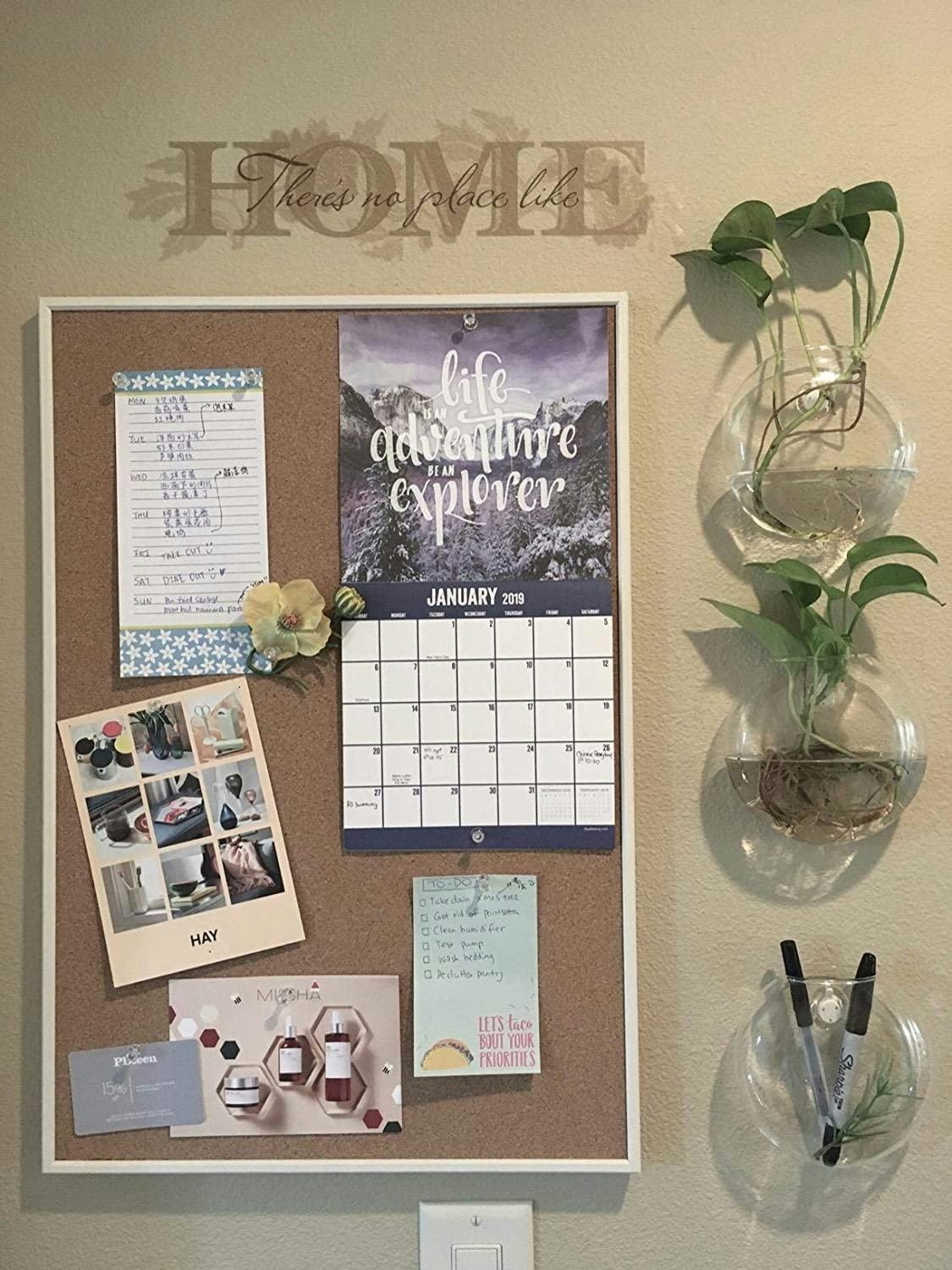 Mkono Wall Hanging Glass Terrarium Planters (4-Pack)