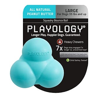 Playology Squeaky Dog Toys for Large Dogs